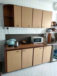 Blk 241 Hougang Heights (Hougang), HDB 3 Rooms #466645361